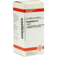 BRYOPHYLLUM D 6 Tabletten