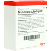 MUSCULUS SUIS Injeel Ampullen