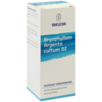 BRYOPHYLLUM ARGENTO cultum D 2 Dilution