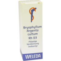 BRYOPHYLLUM ARGENTO cultum Rh D 3 Dilution