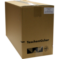 TASCHENTÜCHER Motiv Vitamine