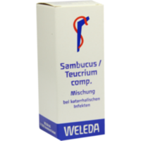 SAMBUCUS/TEUCRIUM comp.Mischung