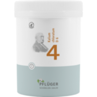 BIOCHEMIE Pflüger 4 Kalium chloratum D 6 Tabletten