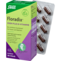 FLORADIX Eisen plus B-Vitamine Kapseln