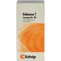 Synergon Komplex Echinacea T Nr 4A