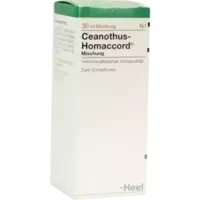 CEANOTHUS HOMACCORD
