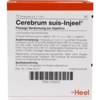 CEREBRUM SUIS INJ OR