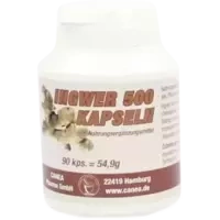 Ingwer 500