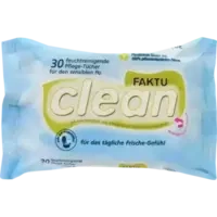 FaktuClean