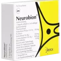 NEUROBION