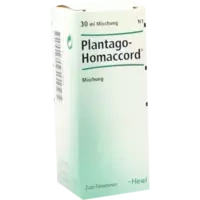 PLANTAGO HOMACCORD