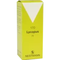 Lycopus H 170