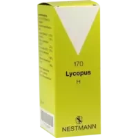 Lycopus H 170