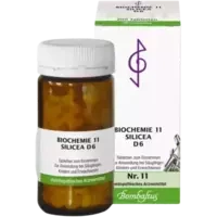Biochemie 11 Silicea D 6