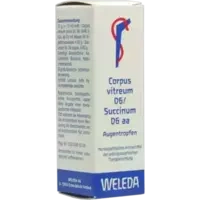 CORPUS VIT D 6 SUCC D 6