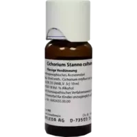 CICHORIUM ST CUL D 3