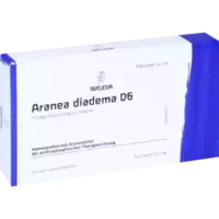 ARANEA DIADEMA D 6