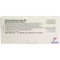 SOLUTIO SILICEA COMP D 6