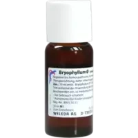 BRYOPHYLLUM URT