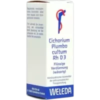 CICHORIUM PLUM CUL RH D 3