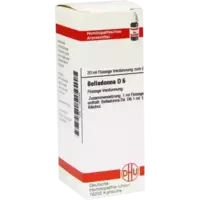 BELLADONNA D 6