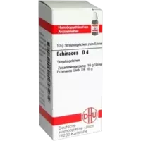 Echinacea (HAB) D 4