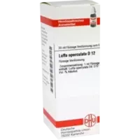 LUFFA OPERCUL D12