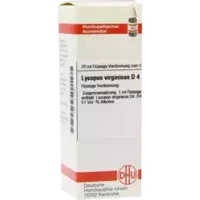 LYCOPUS VIRG D 4