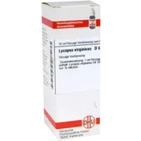 LYCOPUS VIRG D 6