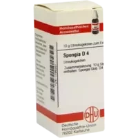 SPONGIA D 4