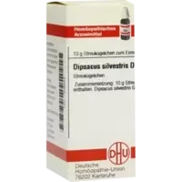 Dipsacus silvestris D30