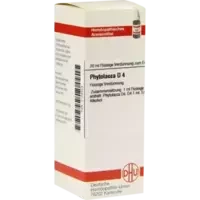 PHYTOLACCA D 4