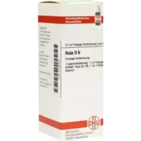 RUTA D 6