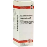 CYNARA SCOL URT