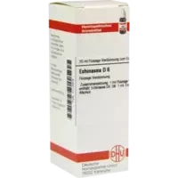 Echinacea (HAB) D 6