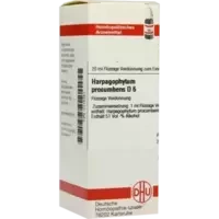 HARPAGOPHYTUM PROC D 6