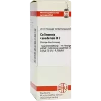 COLLINSONIA CANADENS D 2