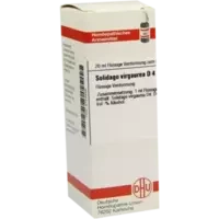 SOLIDAGO VIRGA D 4