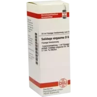 SOLIDAGO VIRGA D 6