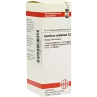 SPARTIUM SCOPARIUM D 2
