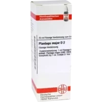 PLANTAGO MAJOR D 2