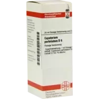 EUPATORIUM PERF D 6