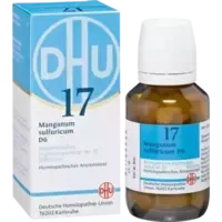 BIOCHEMIE DHU 17 MANGANUM SULFURICUM D 6