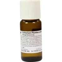 CICHORIUM PLUM CUL D 3