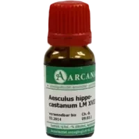 AESCULUS ARCA LM 18