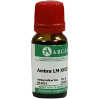 AMBRA ARCA LM 18