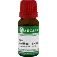 APIS MELLIFICA ARCA LM 6
