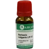 BERBERIS VULG. ARCA LM 6