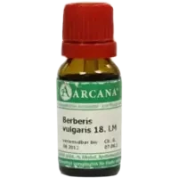 BERBERIS VULG. ARCA LM 18