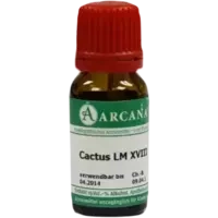 CACTUS ARCA LM 18